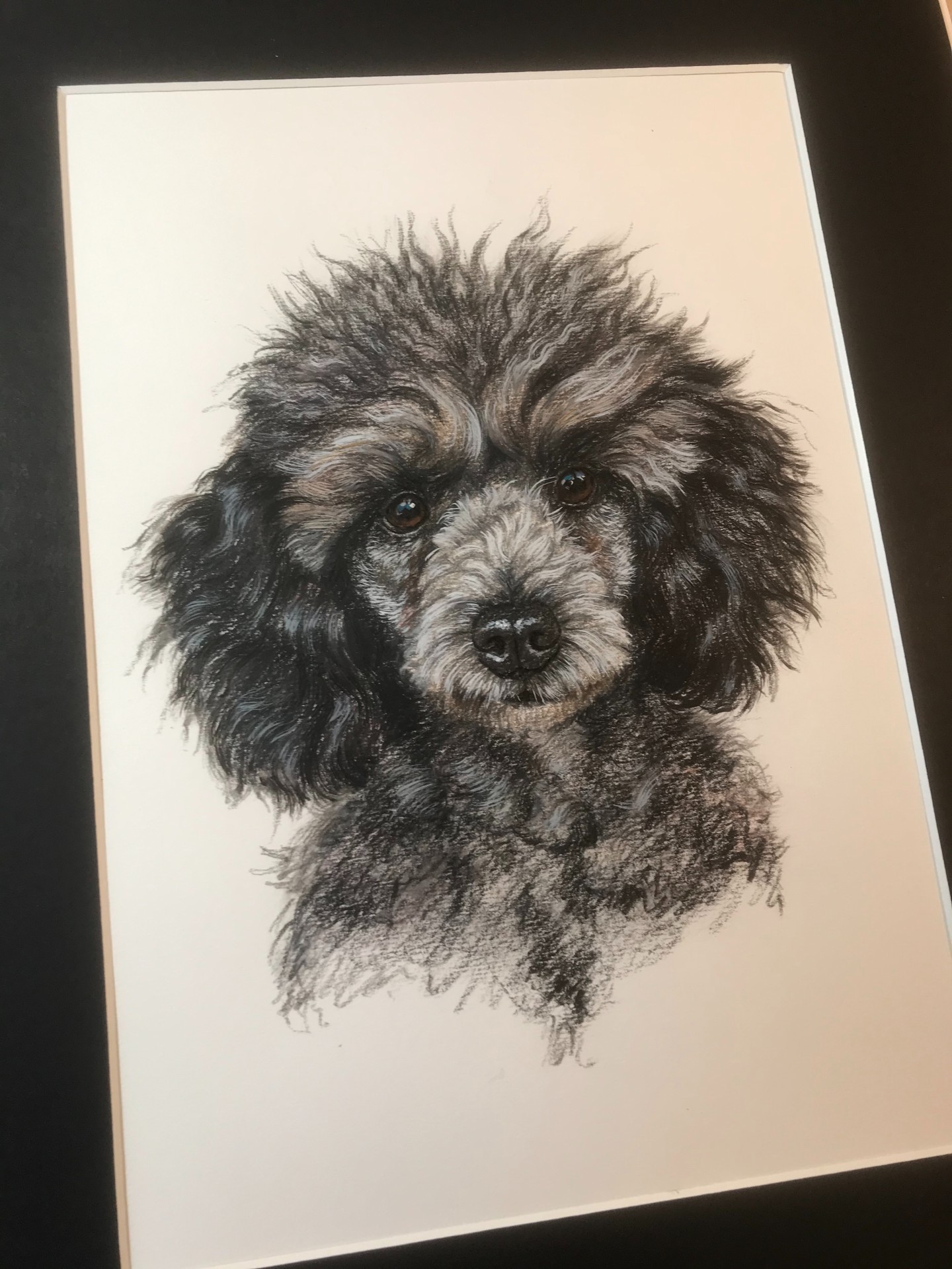 Dog Portraits UK, pet portraits, Glossop, Derbyshire, High Peak Artist